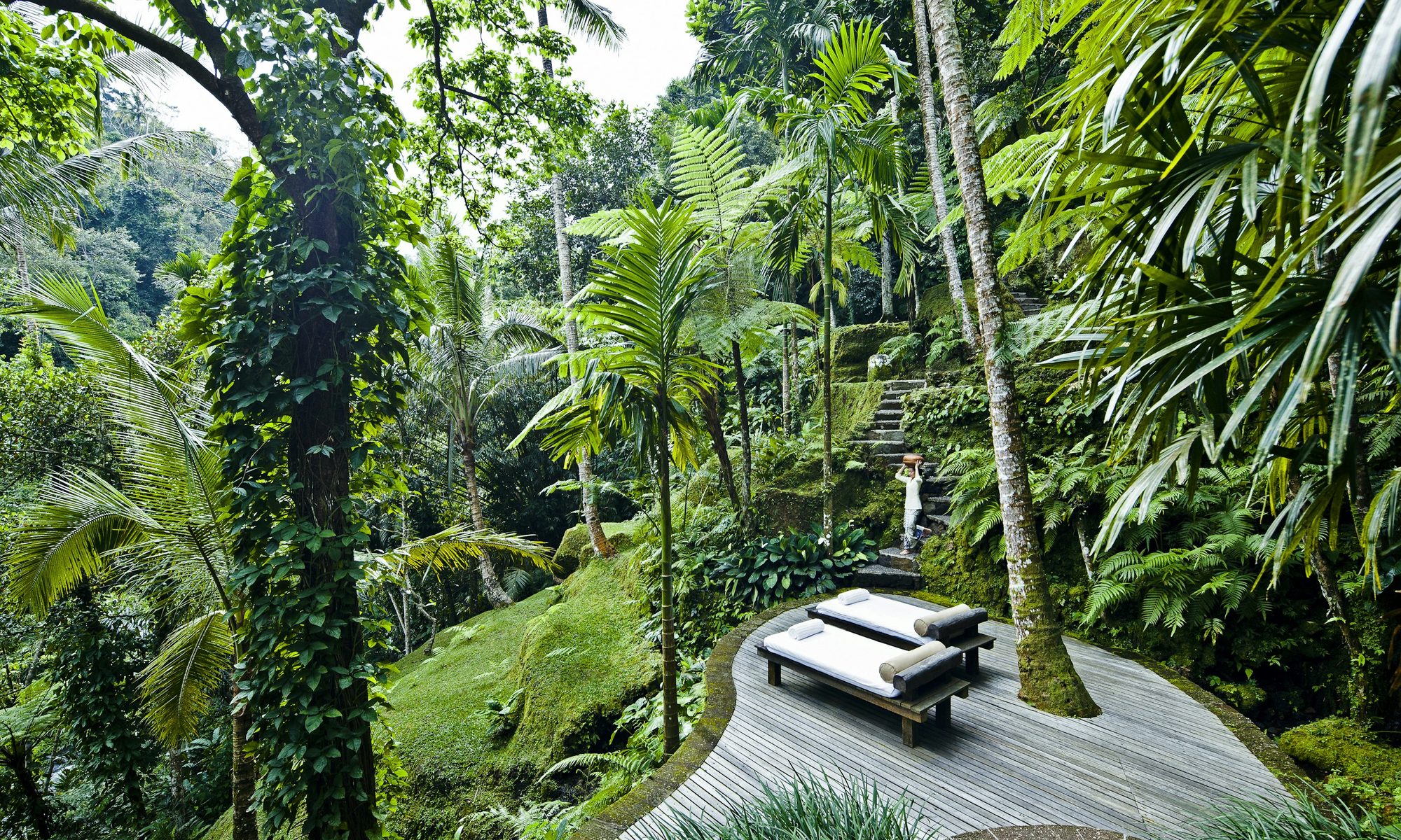Staff member walking down mossy stone steps through the jungle toward the water gardens