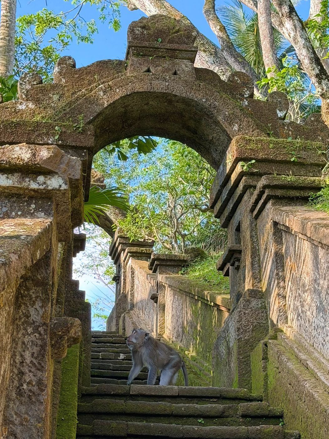 Steep jungle stairs, Ubud